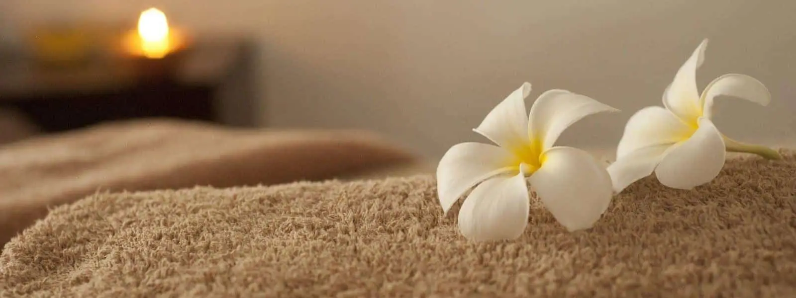 Wellness & Massage Wellness & Massage